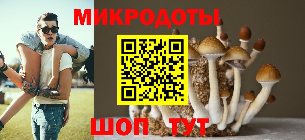 Галлюциногенные грибы MAGIC MUSHROOMS Саранск